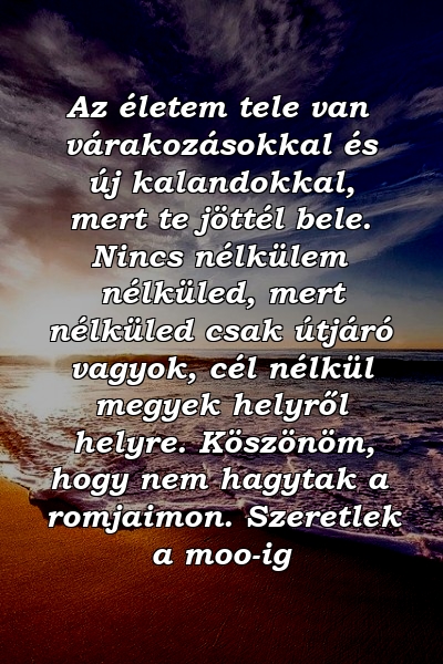 Az életem tele van várakozásokkal és új kalandokkal, mert te jöttél bele. Nincs nélkülem nélküled, mert nélküled csak útjáró vagyok, cél nélkül megyek helyről helyre. Köszönöm, hogy nem hagytak a romjaimon. Szeretlek a moo-ig