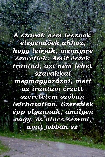 A szavak nem lesznek elegendőek ahhoz, hogy leírják, mennyire szeretlek. Amit érzek irántad, azt nem lehet szavakkal megmagyarázni, mert az irántam érzett szeretetem szóban leírhatatlan. Szeretlek épp olyannak, amilyen vagy, és nincs semmi, amit jobban sz