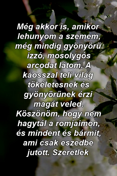 Még akkor is, amikor lehunyom a szemem, még mindig gyönyörű izzó, mosolygós arcodat látom. A káosszal teli világ tökéletesnek és gyönyörűnek érzi magát veled. Köszönöm, hogy nem hagytál a romjaimon, és mindent és bármit, ami csak eszedbe jutott. Szeretlek