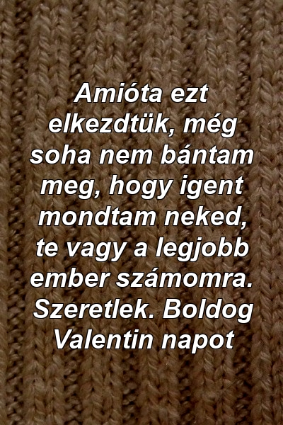 Amióta ezt elkezdtük, még soha nem bántam meg, hogy igent mondtam neked, te vagy a legjobb ember számomra. Szeretlek. Boldog Valentin napot