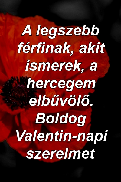 A legszebb férfinak, akit ismerek, a hercegem elbűvölő. Boldog Valentin-napi szerelmet