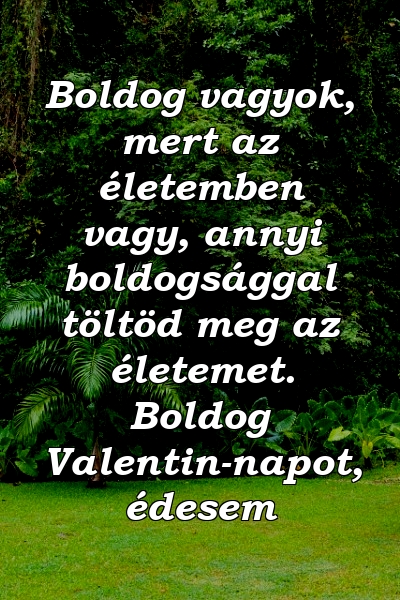 Boldog vagyok, mert az életemben vagy, annyi boldogsággal töltöd meg az életemet. Boldog Valentin-napot, édesem