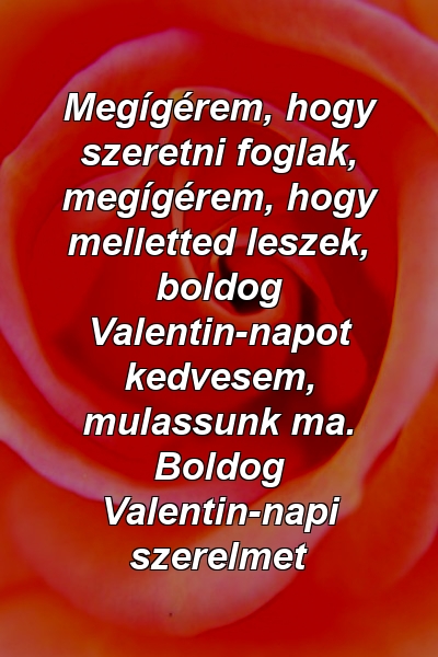 Megígérem, hogy szeretni foglak, megígérem, hogy melletted leszek, boldog Valentin-napot kedvesem, mulassunk ma. Boldog Valentin-napi szerelmet