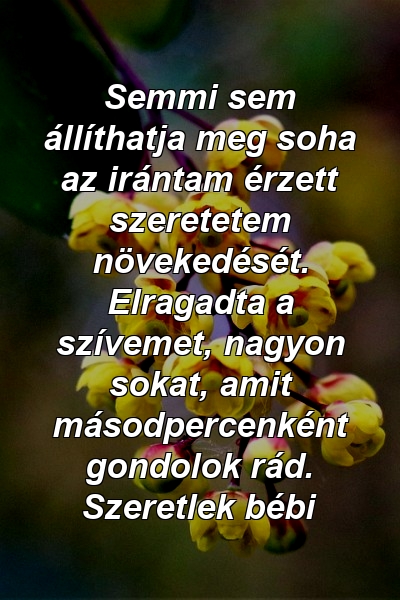 Semmi sem állíthatja meg soha az irántam érzett szeretetem növekedését. Elragadta a szívemet, nagyon sokat, amit másodpercenként gondolok rád. Szeretlek bébi