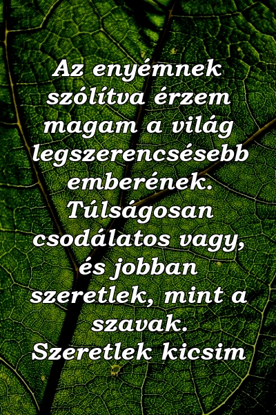 Az enyémnek szólítva érzem magam a világ legszerencsésebb emberének. Túlságosan csodálatos vagy, és jobban szeretlek, mint a szavak. Szeretlek kicsim