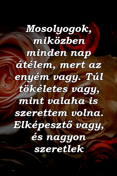 Mosolyogok, miközben minden nap átélem, mert az enyém vagy. Túl tökéletes vagy, mint valaha is szerettem volna. Elképesztő vagy, és nagyon szeretlek