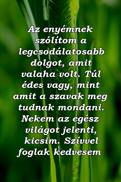 Az enyémnek szólítom a legcsodálatosabb dolgot, amit valaha volt. Túl édes vagy, mint amit a szavak meg tudnak mondani. Nekem az egész világot jelenti, kicsim. Szívvel foglak kedvesem