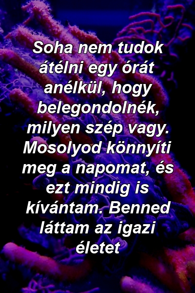 Soha nem tudok átélni egy órát anélkül, hogy belegondolnék, milyen szép vagy. Mosolyod könnyíti meg a napomat, és ezt mindig is kívántam. Benned láttam az igazi életet