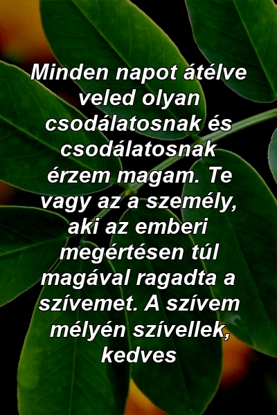 Minden napot átélve veled olyan csodálatosnak és csodálatosnak érzem magam. Te vagy az a személy, aki az emberi megértésen túl magával ragadta a szívemet. A szívem mélyén szívellek, kedves