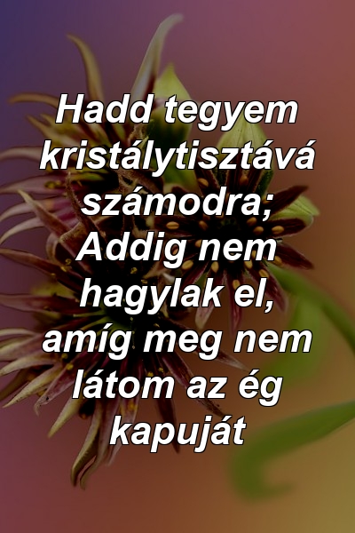 Hadd tegyem kristálytisztává számodra; Addig nem hagylak el, amíg meg nem látom az ég kapuját