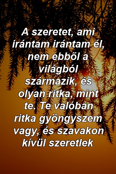 A szeretet, ami irántam irántam él, nem ebből a világból származik, és olyan ritka, mint te. Te valóban ritka gyöngyszem vagy, és szavakon kívül szeretlek