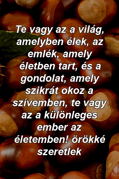 Te vagy az a világ, amelyben élek, az emlék, amely életben tart, és a gondolat, amely szikrát okoz a szívemben, te vagy az a különleges ember az életemben! örökké szeretlek