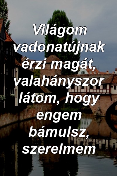 Világom vadonatújnak érzi magát, valahányszor látom, hogy engem bámulsz, szerelmem