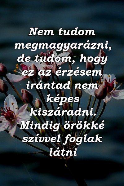 Nem tudom megmagyarázni, de tudom, hogy ez az érzésem irántad nem képes kiszáradni. Mindig örökké szívvel foglak látni