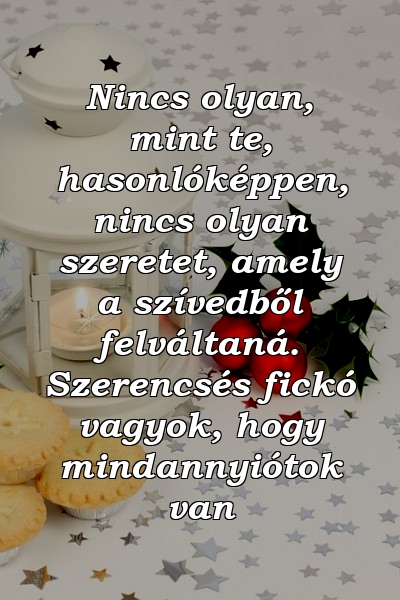 Nincs olyan, mint te, hasonlóképpen, nincs olyan szeretet, amely a szívedből felváltaná. Szerencsés fickó vagyok, hogy mindannyiótok van