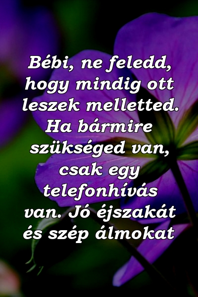 Bébi, ne feledd, hogy mindig ott leszek melletted. Ha bármire szükséged van, csak egy telefonhívás van. Jó éjszakát és szép álmokat