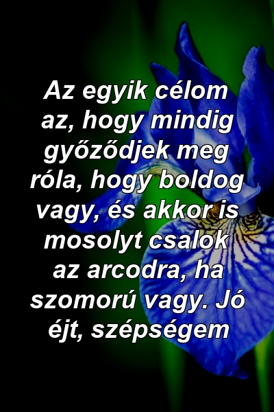 Az egyik célom az, hogy mindig győződjek meg róla, hogy boldog vagy, és akkor is mosolyt csalok az arcodra, ha szomorú vagy. Jó éjt, szépségem