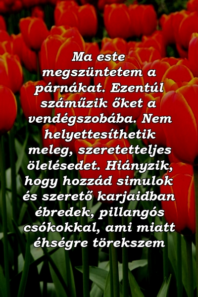 Ma este megszüntetem a párnákat. Ezentúl száműzik őket a vendégszobába. Nem helyettesíthetik meleg, szeretetteljes ölelésedet. Hiányzik, hogy hozzád simulok és szerető karjaidban ébredek, pillangós csókokkal, ami miatt éhségre törekszem