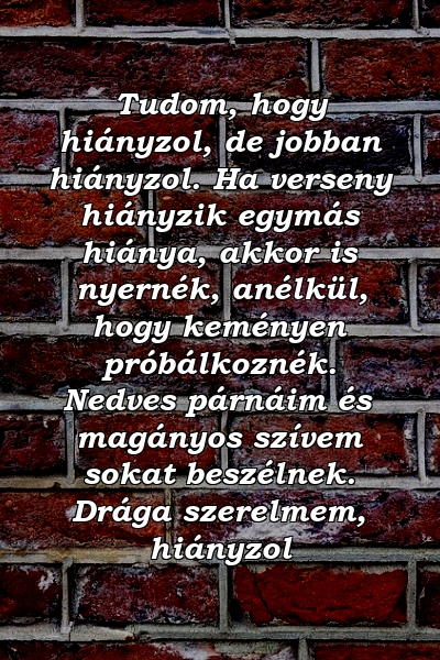 Tudom, hogy hiányzol, de jobban hiányzol. Ha verseny hiányzik egymás hiánya, akkor is nyernék, anélkül, hogy keményen próbálkoznék. Nedves párnáim és magányos szívem sokat beszélnek. Drága szerelmem, hiányzol