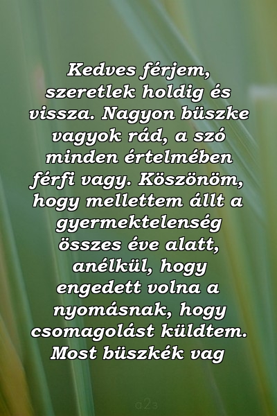 Kedves férjem, szeretlek holdig és vissza. Nagyon büszke vagyok rád, a szó minden értelmében férfi vagy. Köszönöm, hogy mellettem állt a gyermektelenség összes éve alatt, anélkül, hogy engedett volna a nyomásnak, hogy csomagolást küldtem. Most büszkék vag