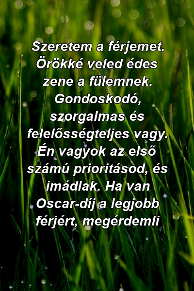 Szeretem a férjemet. Örökké veled édes zene a fülemnek. Gondoskodó, szorgalmas és felelősségteljes vagy. Én vagyok az első számú prioritásod, és imádlak. Ha van Oscar-díj a legjobb férjért, megérdemli