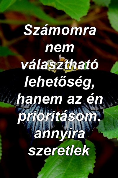 Számomra nem választható lehetőség, hanem az én prioritásom. annyira szeretlek