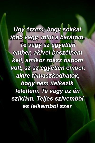 Úgy érzem, hogy sokkal több vagy, mint a barátom. Te vagy az egyetlen ember, akivel beszélnem kell, amikor rossz napom volt, az az egyetlen ember, akire támaszkodhatok, hogy nem ítélkezik felettem. Te vagy az én sziklám. Teljes szívemből és lelkemből szer