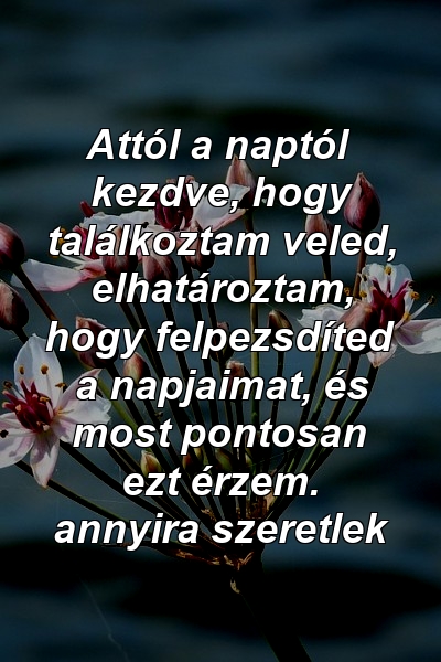 Attól a naptól kezdve, hogy találkoztam veled, elhatároztam, hogy felpezsdíted a napjaimat, és most pontosan ezt érzem. annyira szeretlek