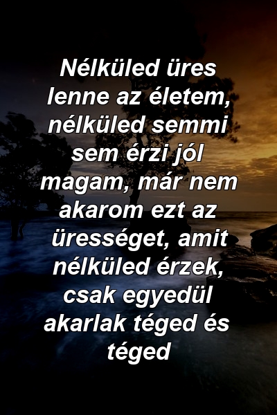 Nélküled üres lenne az életem, nélküled semmi sem érzi jól magam, már nem akarom ezt az ürességet, amit nélküled érzek, csak egyedül akarlak téged és téged