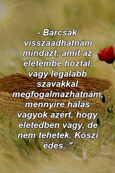 - Bárcsak visszaadhatnám mindazt, amit az életembe hoztál, vagy legalább szavakkal megfogalmazhatnám, mennyire hálás vagyok azért, hogy életedben vagy, de nem tehetek. Köszi édes. "