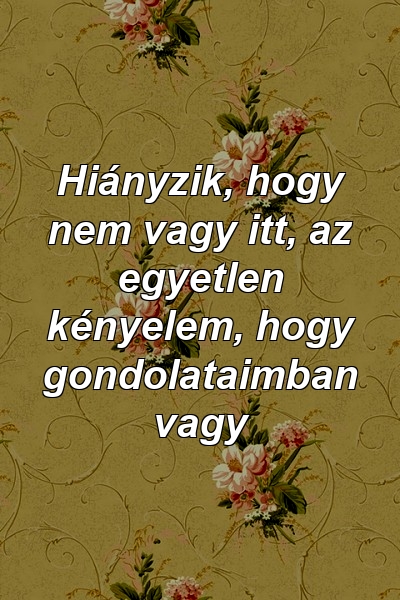 Hiányzik, hogy nem vagy itt, az egyetlen kényelem, hogy gondolataimban vagy