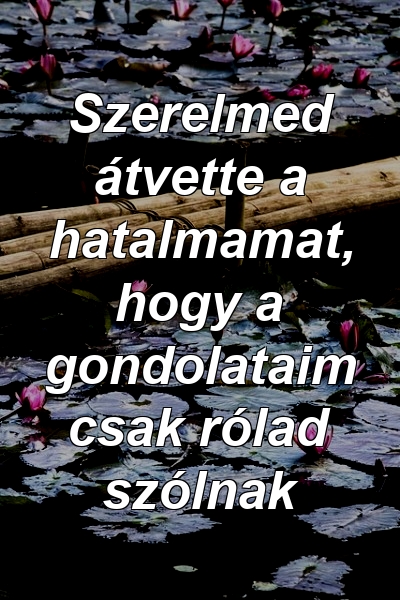 Szerelmed átvette a hatalmamat, hogy a gondolataim csak rólad szólnak