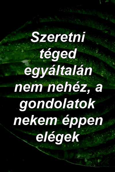 Szeretni téged egyáltalán nem nehéz, a gondolatok nekem éppen elégek