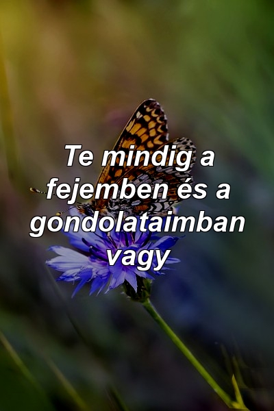 Te mindig a fejemben és a gondolataimban vagy