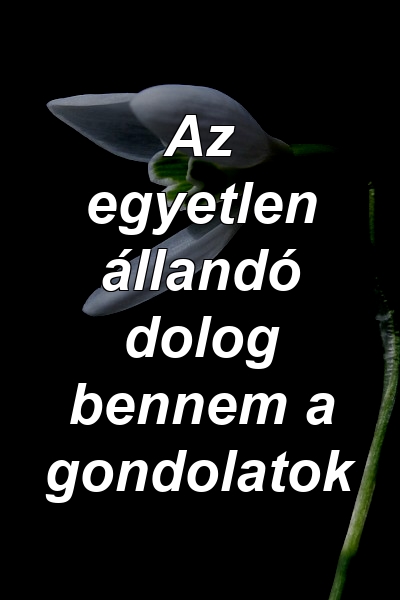 Az egyetlen állandó dolog bennem a gondolatok