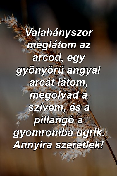 Valahányszor meglátom az arcod, egy gyönyörű angyal arcát látom, megolvad a szívem, és a pillangó a gyomromba ugrik. Annyira szeretlek!