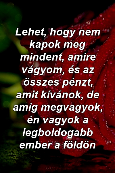 Lehet, hogy nem kapok meg mindent, amire vágyom, és az összes pénzt, amit kívánok, de amíg megvagyok, én vagyok a legboldogabb ember a földön