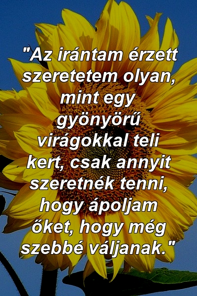 "Az irántam érzett szeretetem olyan, mint egy gyönyörű virágokkal teli kert, csak annyit szeretnék tenni, hogy ápoljam őket, hogy még szebbé váljanak."