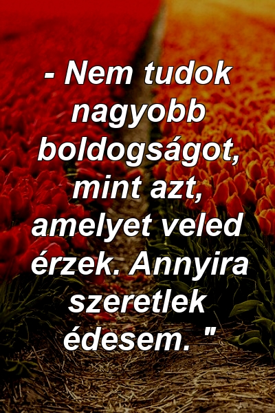 - Nem tudok nagyobb boldogságot, mint azt, amelyet veled érzek. Annyira szeretlek édesem. "