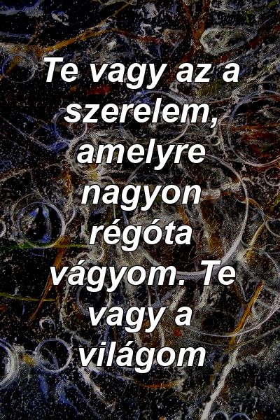 Te vagy az a szerelem, amelyre nagyon régóta vágyom. Te vagy a világom