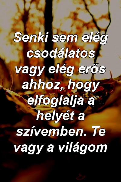 Senki sem elég csodálatos vagy elég erős ahhoz, hogy elfoglalja a helyét a szívemben. Te vagy a világom