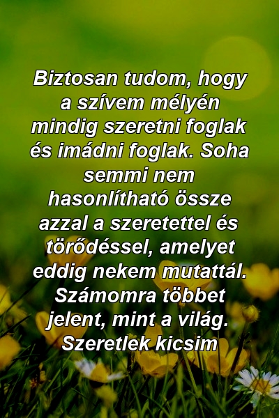 Biztosan tudom, hogy a szívem mélyén mindig szeretni foglak és imádni foglak. Soha semmi nem hasonlítható össze azzal a szeretettel és törődéssel, amelyet eddig nekem mutattál. Számomra többet jelent, mint a világ. Szeretlek kicsim