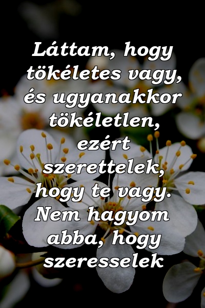 Láttam, hogy tökéletes vagy, és ugyanakkor tökéletlen, ezért szerettelek, hogy te vagy. Nem hagyom abba, hogy szeresselek