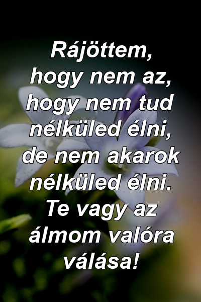 Rájöttem, hogy nem az, hogy nem tud nélküled élni, de nem akarok nélküled élni. Te vagy az álmom valóra válása!