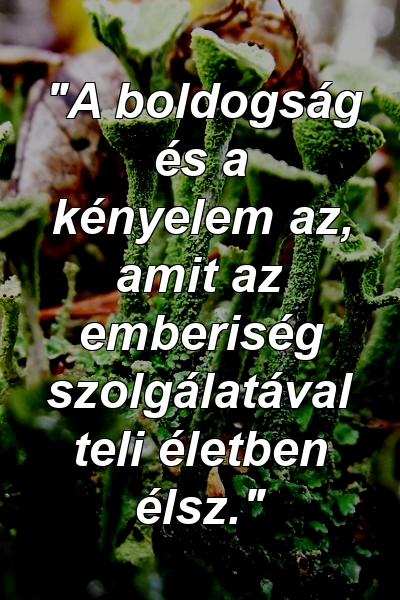 "A boldogság és a kényelem az, amit az emberiség szolgálatával teli életben élsz."