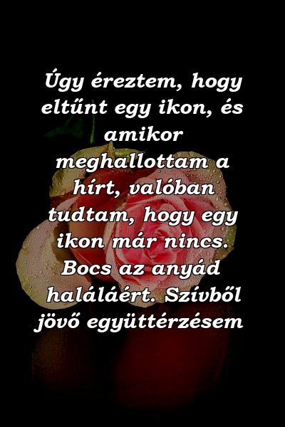 Úgy éreztem, hogy eltűnt egy ikon, és amikor meghallottam a hírt, valóban tudtam, hogy egy ikon már nincs. Bocs az anyád haláláért. Szívből jövő együttérzésem