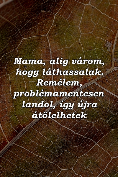 Mama, alig várom, hogy láthassalak. Remélem, problémamentesen landol, így újra átölelhetek