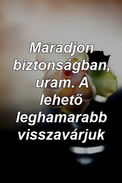 Maradjon biztonságban, uram. A lehető leghamarabb visszavárjuk