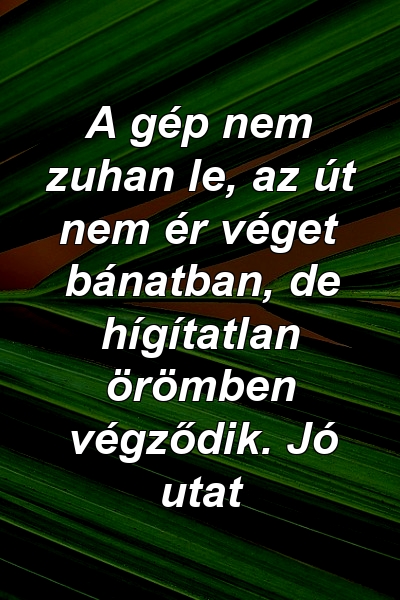 A gép nem zuhan le, az út nem ér véget bánatban, de hígítatlan örömben végződik. Jó utat