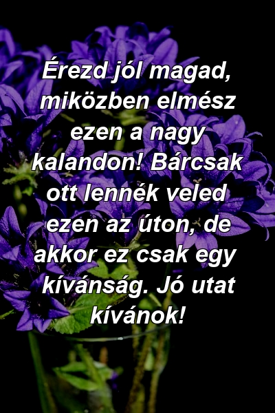 Érezd jól magad, miközben elmész ezen a nagy kalandon! Bárcsak ott lennék veled ezen az úton, de akkor ez csak egy kívánság. Jó utat kívánok!